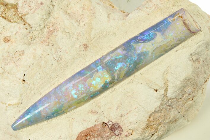 Incredible Opal Replaced Belemnite Fossil - Australia #298598